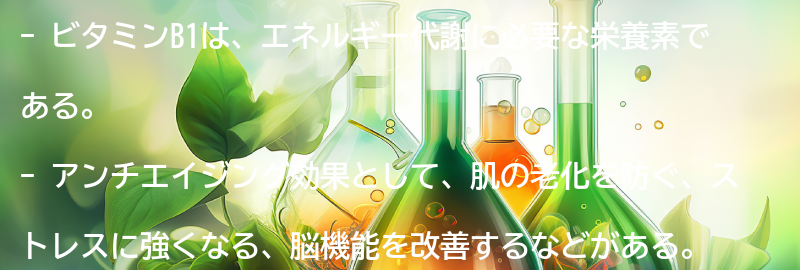 ビタミンB1とは？の要点まとめ