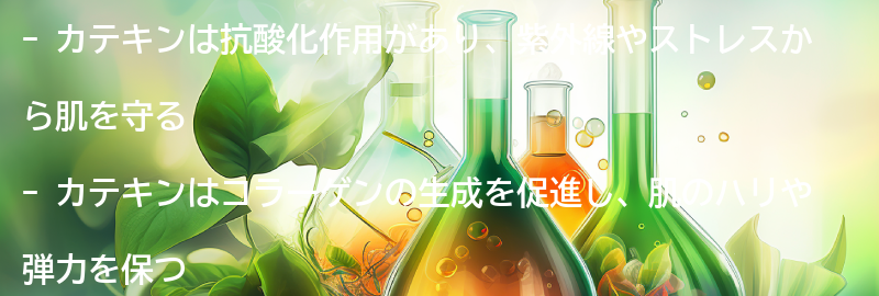 カテキンがもたらす美肌効果とは?の要点まとめ