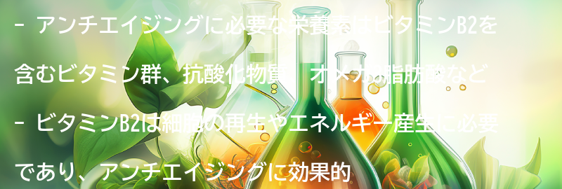 アンチエイジングに必要な栄養素とは？の要点まとめ