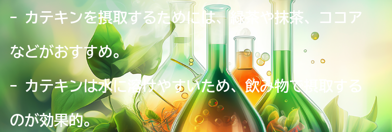 カテキンを摂取するためのポイントの要点まとめ