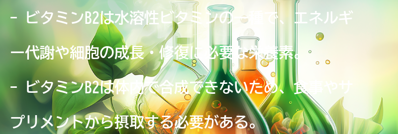 ビタミンB2とは？の要点まとめ