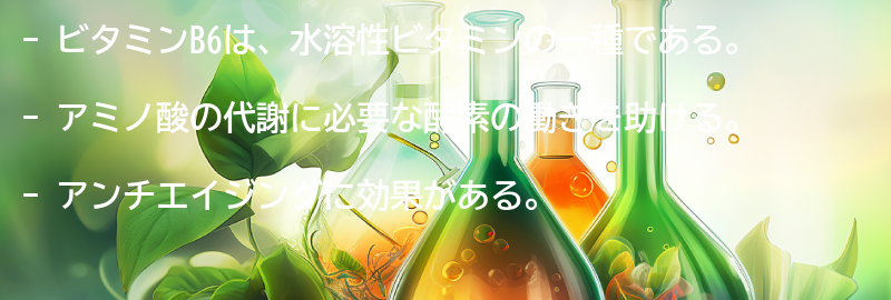 ビタミンB6とは？の要点まとめ