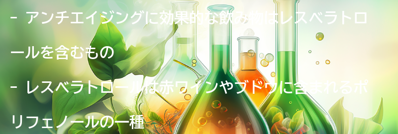 アンチエイジングに効果的な飲み物とは？の要点まとめ