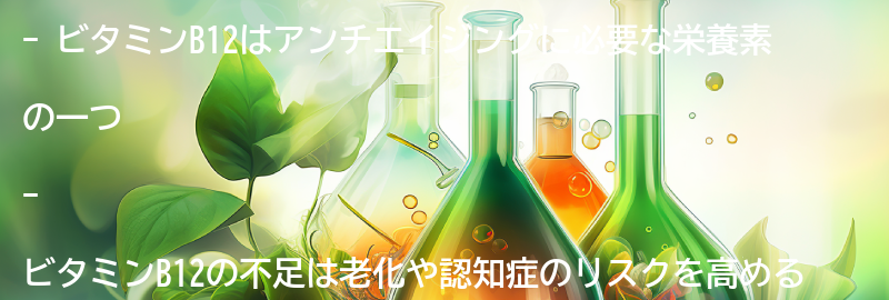 アンチエイジングに必要な栄養素としてのビタミンB12の要点まとめ