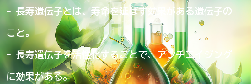 長寿遺伝子とは？の要点まとめ