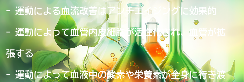 運動による血流改善の効果とは？の要点まとめ