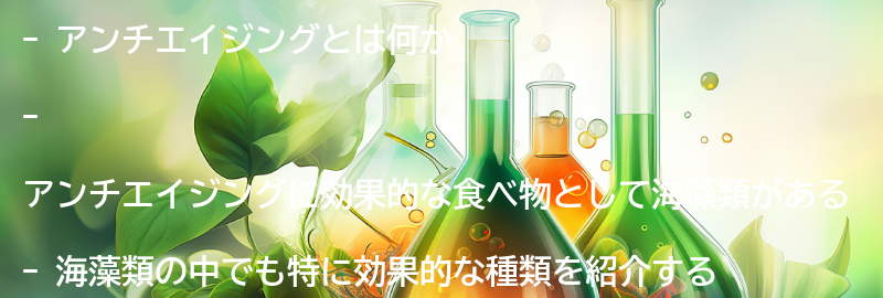 アンチエイジングについての要点まとめ