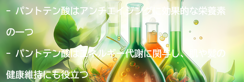 アンチエイジングに効果的なパントテン酸の働きとは？の要点まとめ