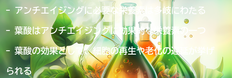 アンチエイジングに必要な栄養素とは？の要点まとめ
