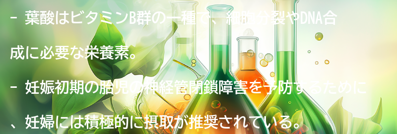 葉酸とは？その効果とは？の要点まとめ