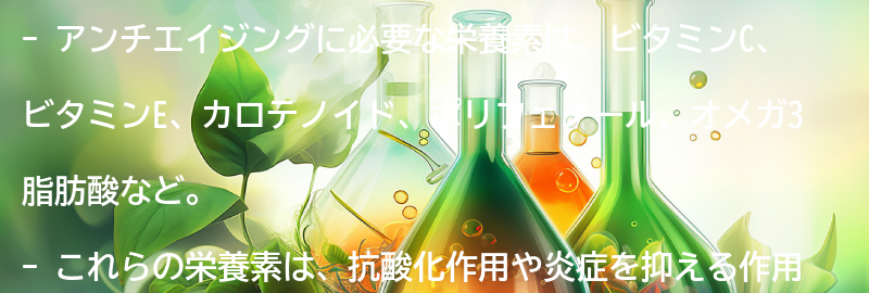 アンチエイジングに必要な栄養素とは?の要点まとめ