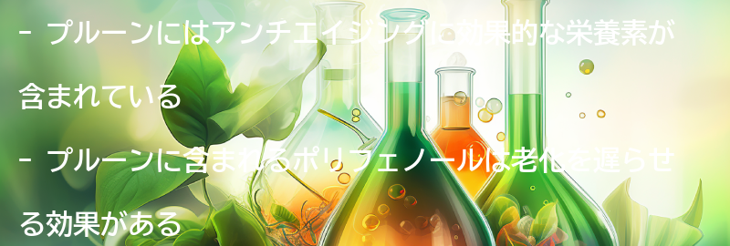 プルーンの栄養素と効果の要点まとめ