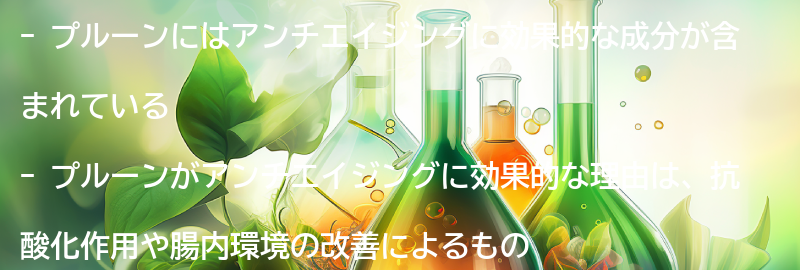 プルーンがアンチエイジングに効果的な理由の要点まとめ