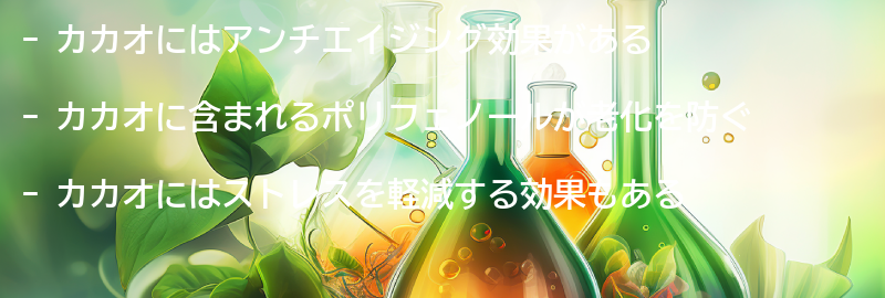 カカオのアンチエイジング効果の要点まとめ