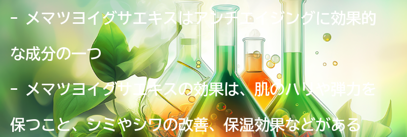 メマツヨイグサエキスを使ったアンチエイジングの効果についての要点まとめ