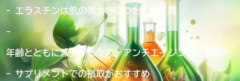 エラスチンとは？の要点まとめ