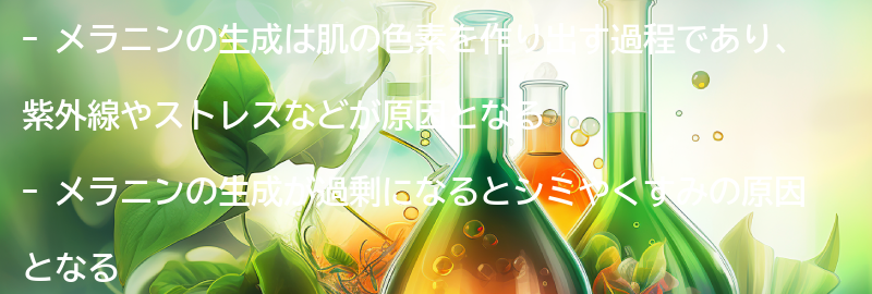 メラニンの生成とは？肌の老化に与える影響とは？の要点まとめ