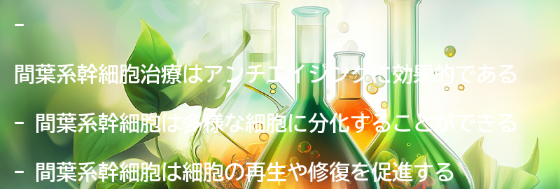 間葉系幹細胞治療がもたらすアンチエイジング効果とは？の要点まとめ