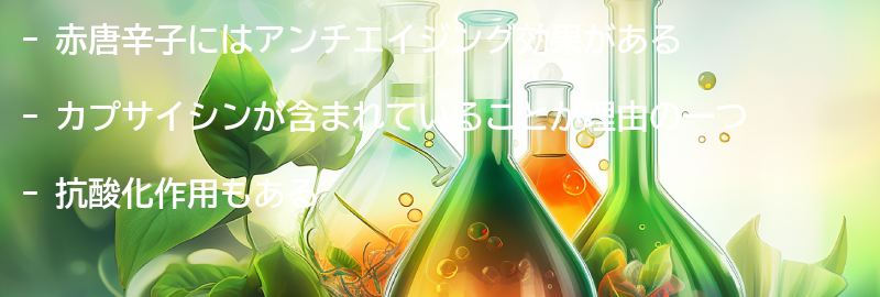 赤唐辛子がアンチエイジングに効果的な理由の要点まとめ
