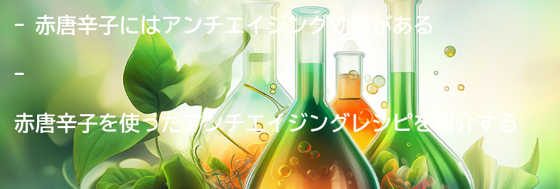赤唐辛子を使ったアンチエイジングレシピの紹介の要点まとめ
