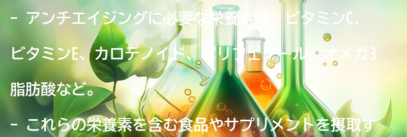 アンチエイジングに必要な栄養素とは？の要点まとめ