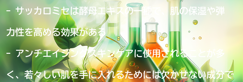 サッカロミセとは？の要点まとめ
