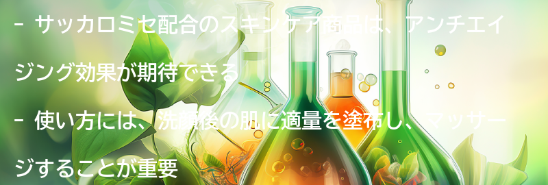 サッカロミセ配合のスキンケア商品の使い方の要点まとめ