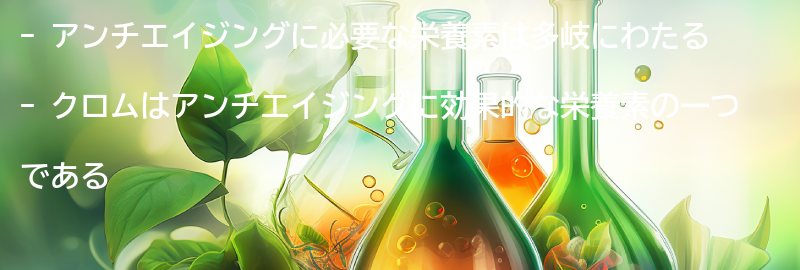 アンチエイジングに必要な栄養素とは？の要点まとめ