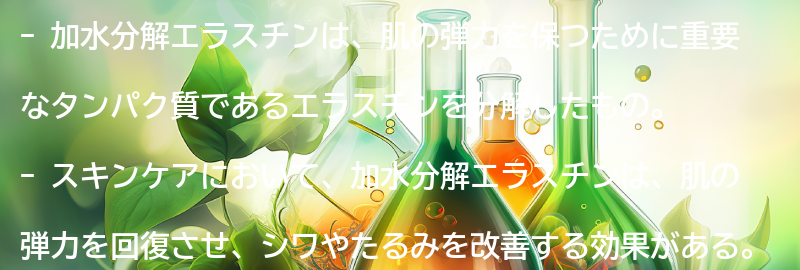 加水分解エラスチンとは？の要点まとめ