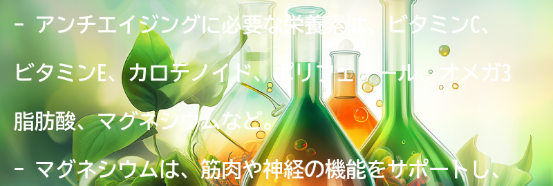 アンチエイジングに必要な栄養素とは？の要点まとめ