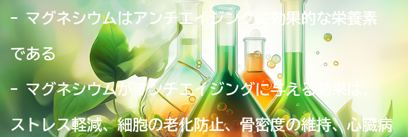 マグネシウムがアンチエイジングに与える効果とは？の要点まとめ