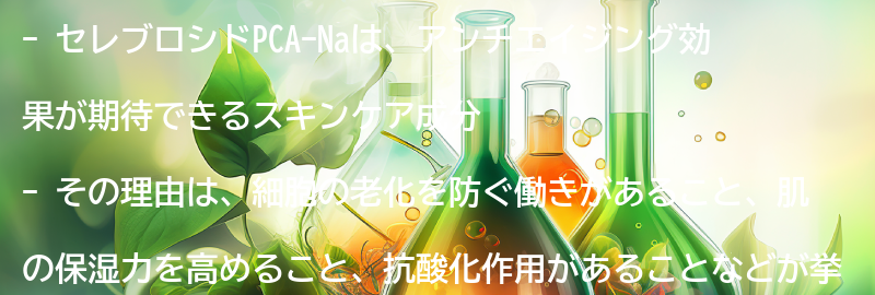 アンチエイジング効果が期待できる理由の要点まとめ
