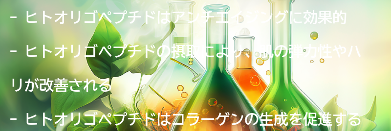 ヒトオリゴペプチドを摂取することで得られる効果とは？の要点まとめ
