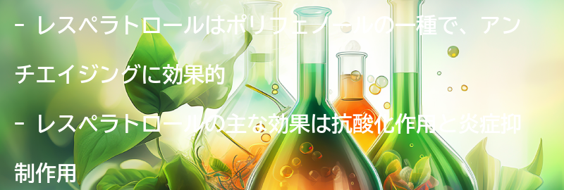 アンチエイジングに効果的な理由の要点まとめ