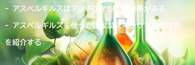 アスペルギルスを使った自家製スキンケアの作り方の要点まとめ