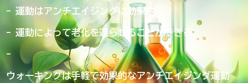 運動がアンチエイジングに与える効果とは?の要点まとめ