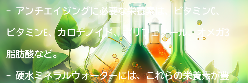アンチエイジングに必要な栄養素とは？の要点まとめ