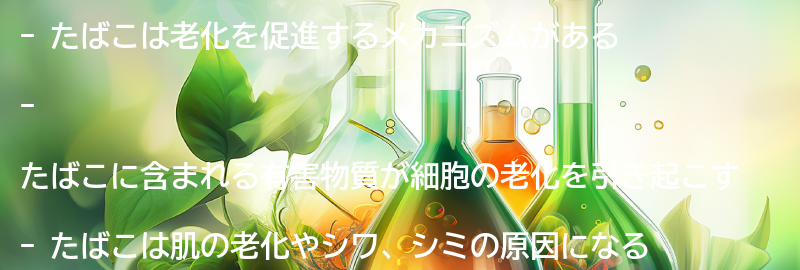 たばこが老化を促進するメカニズムとは？の要点まとめ