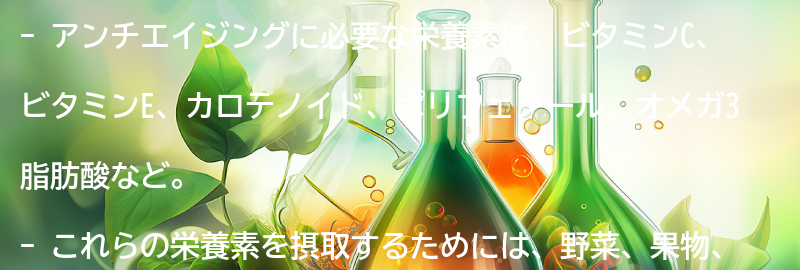 アンチエイジングに必要な栄養素とは？の要点まとめ
