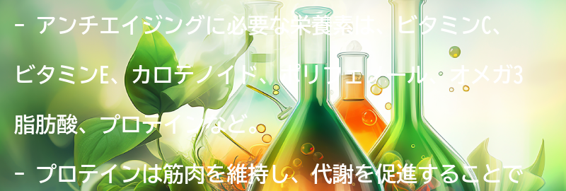アンチエイジングに必要な栄養素とは？の要点まとめ